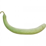 Schlangenkuerbis